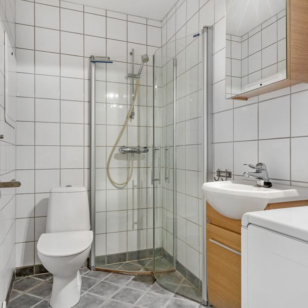 Bad med toalett, dusj, lite skap på vegg med speil, vask med lagringsplass og vaskemaskin